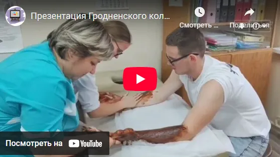 Смотреть